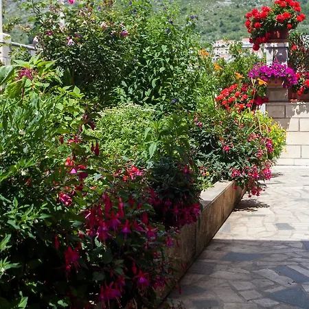 Διαμέρισμα Raguz